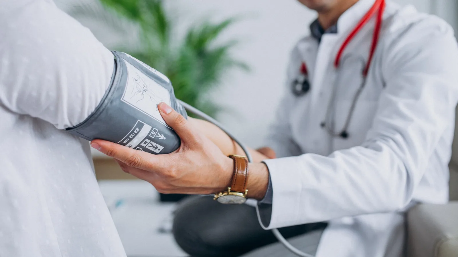 Cita con cardiólogo en Morelia, Michoacán: programa tu consulta cardiológica
