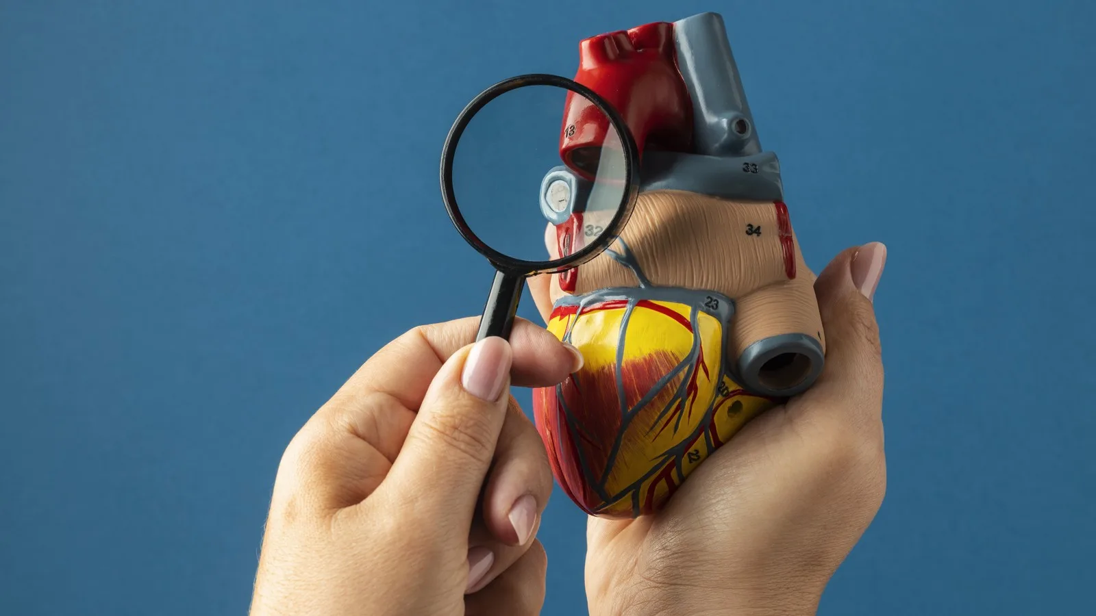 Hipertensión pulmonar en Morelia, Michoacán: Diagnóstico y manejo especializado